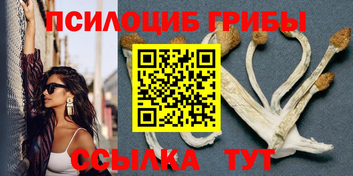 Галлюциногенные грибы мухоморы  Вход с VPN  Сосновый Бор  Псилоцибиновые грибы Psilocybe 