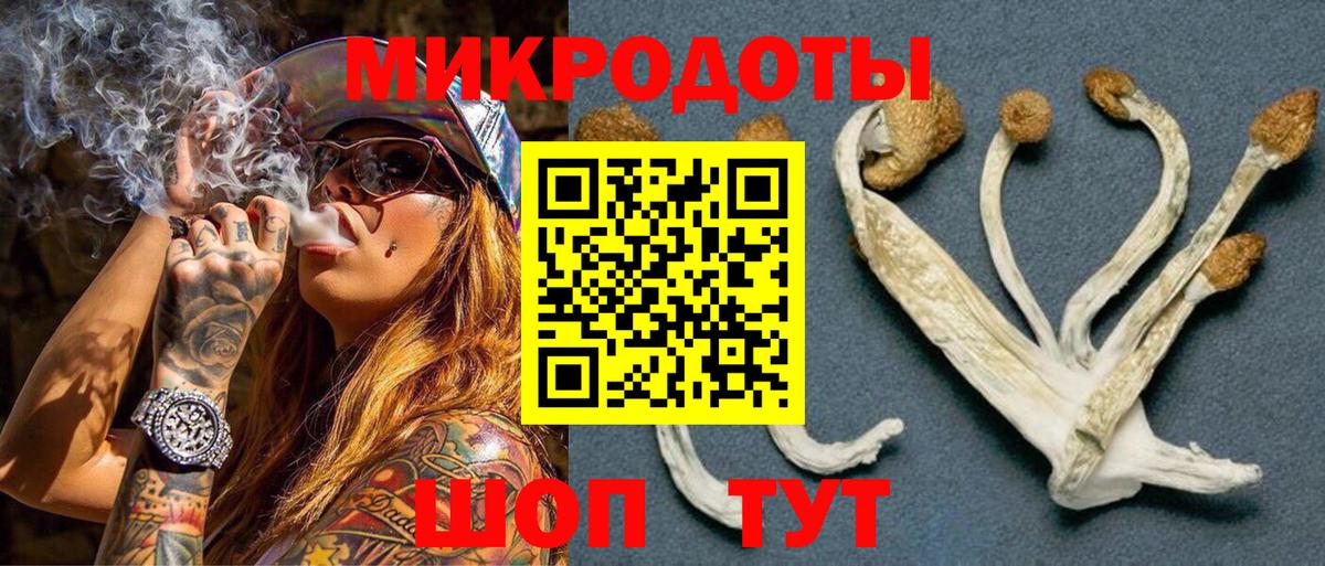 Псилоцибиновые грибы прущие грибы Сосновый Бор